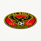 Al Ahly latest soccer seal — angle illustrative rendering