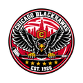 Chicago Blackhawks NHL seal — complete front view; illustrative rendering