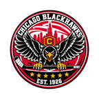 Chicago Blackhawks NHL seal — complete front view; illustrative rendering