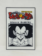 DBZ Mysterious Alien Warrior Manga Sign